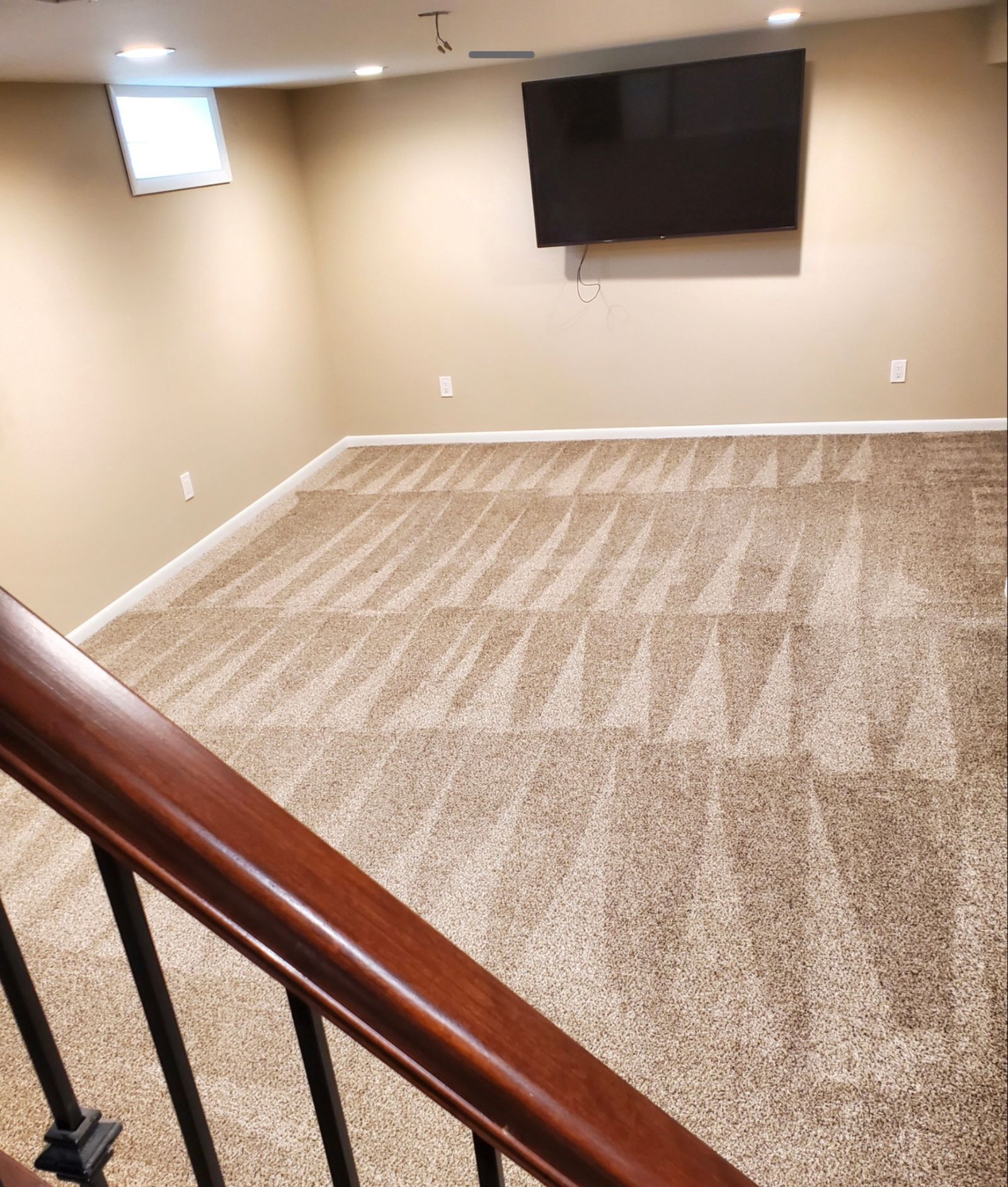 Residential carpet — fresh vacuum lines after cleaning
