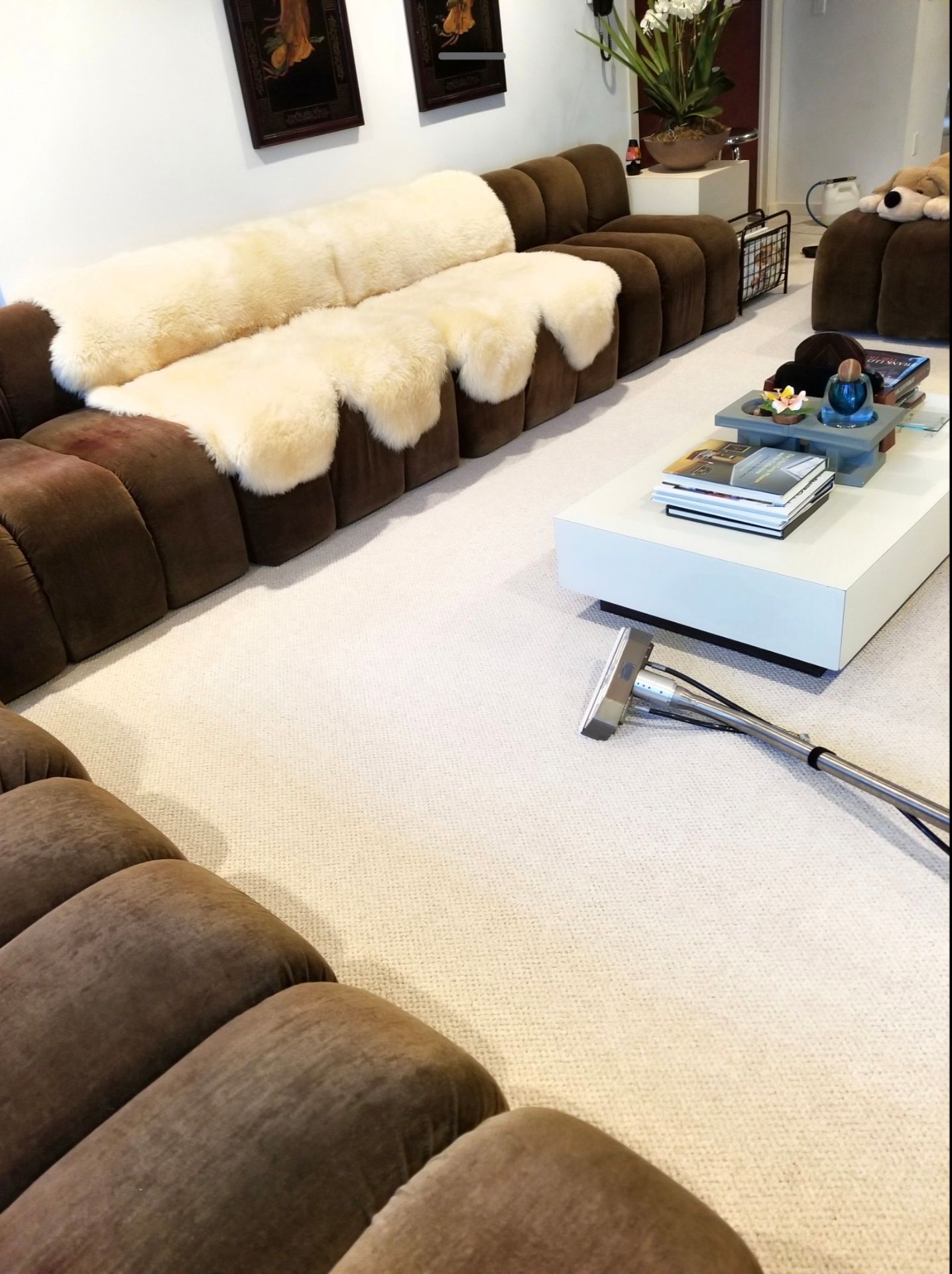 Basement carpet cleaning result