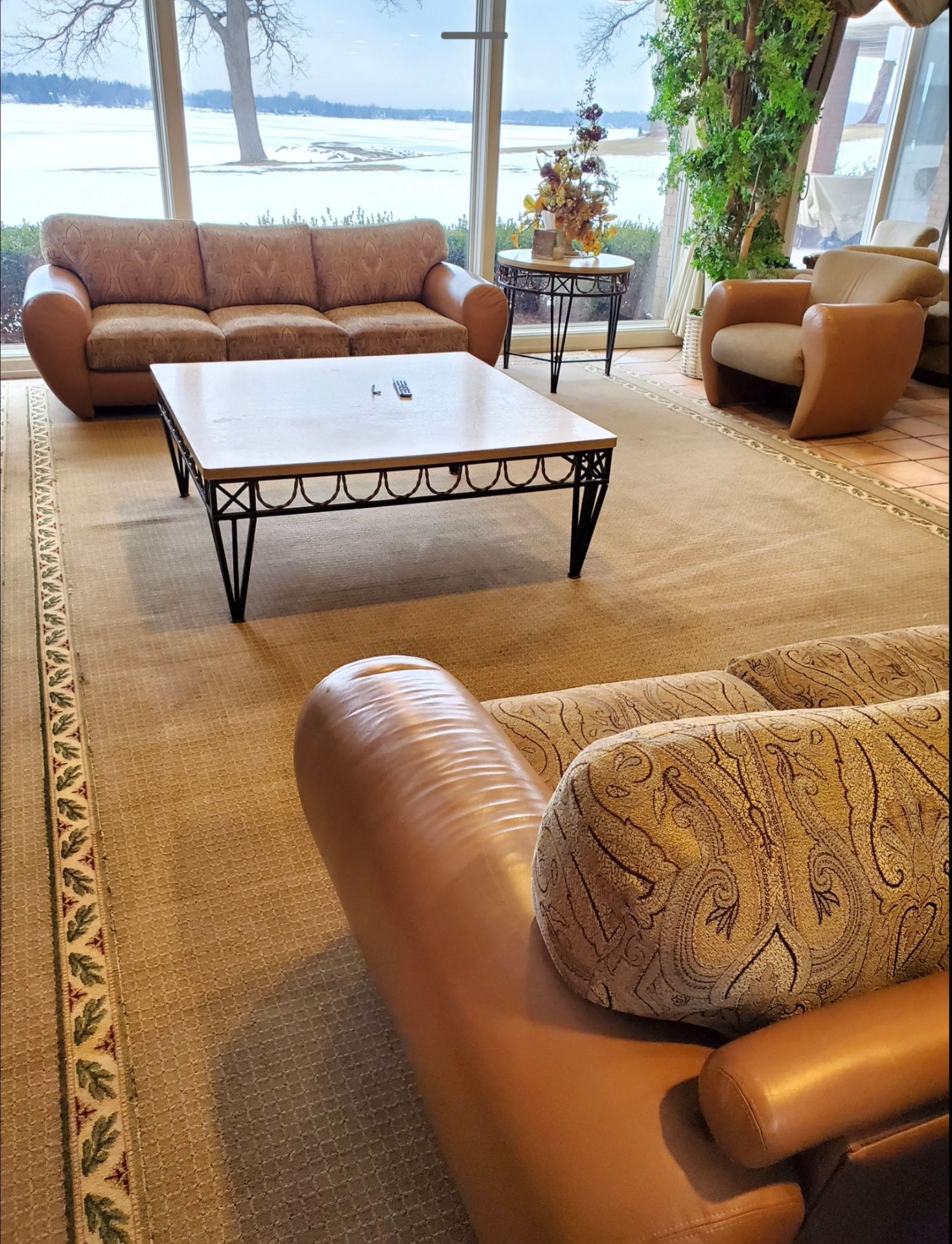 Living room carpet deep cleaned
